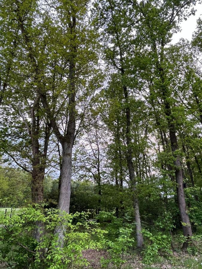 Chalet Liquidambar Zutendaal Buitenkant foto